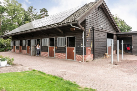 Gastenverblijven op het landgoed van Hoeve WoudStee VMP123